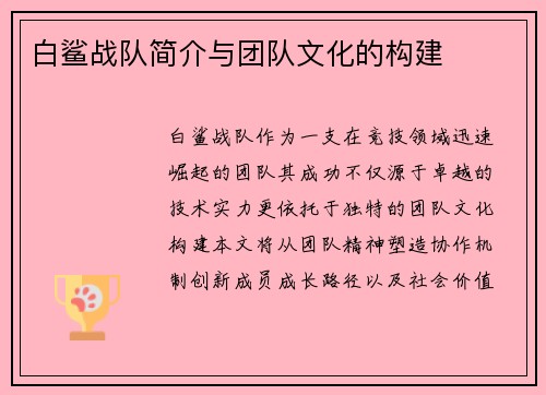白鲨战队简介与团队文化的构建