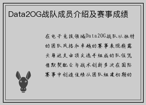 Data2OG战队成员介绍及赛事成绩